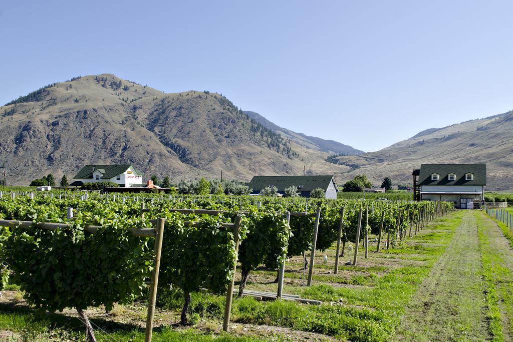 Crowsnest Vineyards Guesthouse Keremeos Exterior photo